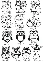 17.webp