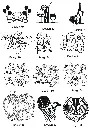 6.webp