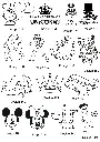 11.webp
